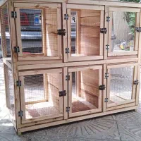 ساخت قفس چوبی|لوازم جانبی حیوانات|کرمانشاه, |دیوار