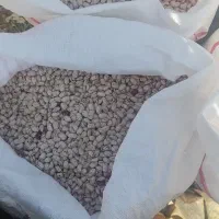 لوبیا چیتی