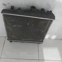 رادیاتورپرایدسالم