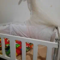 تخت|تخت و صندلی بچه|اردبیل, |دیوار