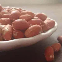 عرضه وتوزیع بادام زمینی|خوردنی و آشامیدنی|رشت, منظریه|دیوار