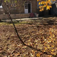 زمین ویلایی|فروش زمین و ملک کلنگی|سیلوانه, |دیوار