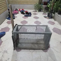 تله گربه و سمور گیری|لوازم جانبی حیوانات|شیراز, پودنک|دیوار