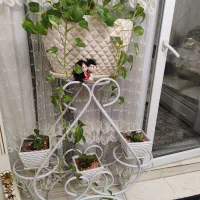 استند گل وگلدون و گل طبیعی ومصنوعی