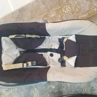 نوزاد