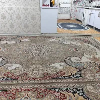 دوعدد قالی|فرش|اهواز, پردیس دو|دیوار