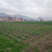 فروش زمین مسکونی تجاری در خان ببین ۳۰۰متری