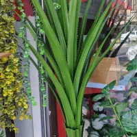 گلدان بزرگ ویک متری برگ برگ انجیری|گل مصنوعی|فردیس, فردیس|دیوار