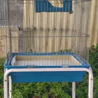 قفس بزرگ کاسکو و طوطی ماکائو