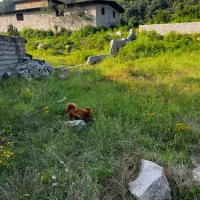 بهترین زمین برای بومگردی و ...