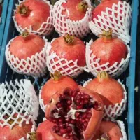 انار درجه شیراز|خوردنی و آشامیدنی|تهران, زعفرانیه|دیوار