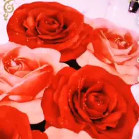 اجاره سوئیت  تازه افتتاح شده در مهاباد|اجارهٔ کوتاه‌مدت آپارتمان و سوئیت|مهاباد (آذربایجان غربی), |دیوار