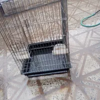 قفس کاسکویی بزرگ معاوضه با مرغ