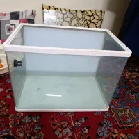 اکواریوم شرکتی مقداری لوازم