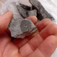 فسیل سنگ|کلکسیون و سرگرمی|خرم‌آباد, |دیوار