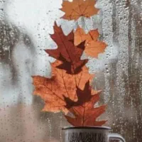 تدریس خصوصی