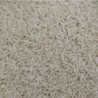 برنج طارم محصول امسال