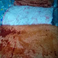 پتوی مخمل کاشان قدیمی|رختخواب، بالش، پتو|اصفهان, شیخ اشراق|دیوار