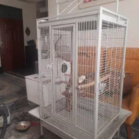 قفس پرنده . قفس بزرگ . قفس مسافرتی|لوازم جانبی حیوانات|رباطکریم, رباطکریم|دیوار