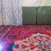 فرش دست بافت 6متری