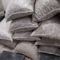 ۵۰۰کیلو‌گردودرعلی‌اباددمق