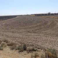 راننده تراکتور هستم