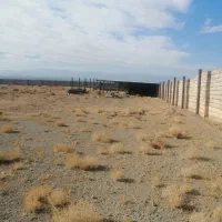 گاوداری|فروش دفتر صنعتی، کشاورزی، تجاری|زرند, |دیوار