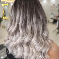 رنگ ولایت تخصصی