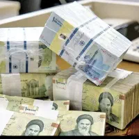 درخواست سرمایه