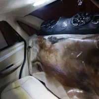 لیفان