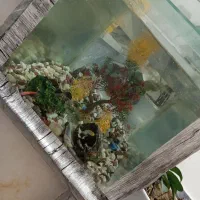 آکواریوم با ماهی