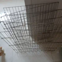 یک پارک برای سگ و یک قفس
