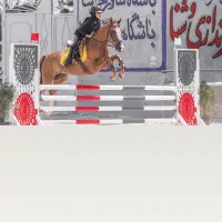 اسب ترکمن