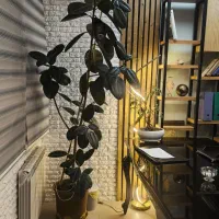 دکوراسیون داخلی|خدمات پیشه و مهارت|پرند, فاز ۱|دیوار