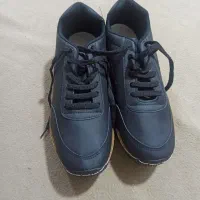 کفش مردانه  نو نو