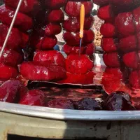 پخش لبو و باقالی تازه