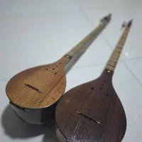 سه‌تار شارخی