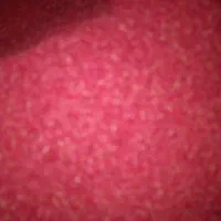 پودر سماق قهوه ای و قرمز