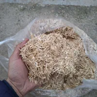 کاه گندم مال تابستان