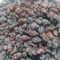 کشمش درجه ۱