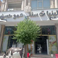 استخدام نیرو