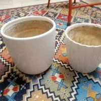 گلدون|گل و گیاه طبیعی|مشهد, نوید|دیوار