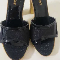 دمپایی رو فرشی مجلسی