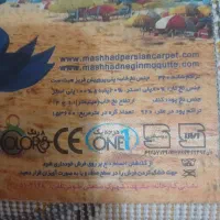 قالیچه اتاق بچه درحدنو|فرش|مشهد, هنرستان|دیوار