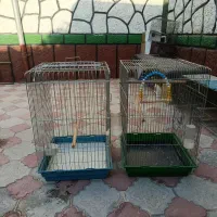 قفس بزرگ