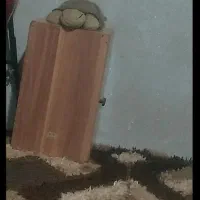 کاخن .کاخون|درام و پرکاشن|رشت, حمیدیان|دیوار