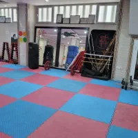 باشگاه رزمی