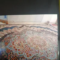 دو عدد فرش 12متری