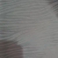 روسری قیمت مناسب روز مادر|لباس|بیرجند, |دیوار