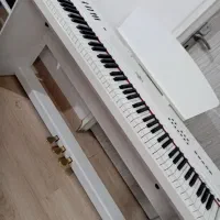 پیانودیجیتال برگمولرp10 سه پدال|پیانو، کیبورد، آکاردئون|تبریز, |دیوار